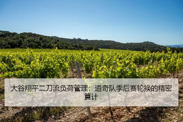 大谷翔平二刀流负荷管理：道奇队季后赛轮换的精密算计