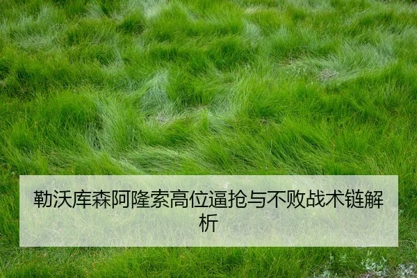 lei-wo-ku-sen-a-long-suo-gao-wei-bi-qiang-yu-bu-bai-zhan-shu-lian-jie-xi-3-764.jpg