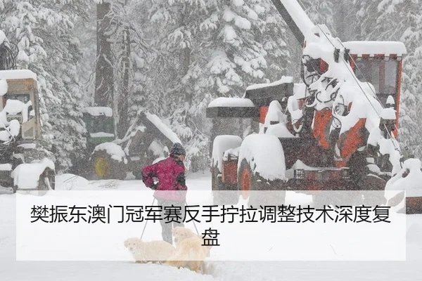 fan-zhen-dong-ao-men-guan-jun-sai-fan-shou-ning-la-tiao-zheng-ji-shu-shen-du-fu-pan-3-971.jpg