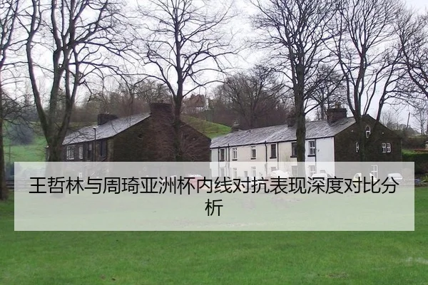 wang-zhe-lin-yu-zhou-qi-ya-zhou-bei-nei-xian-dui-kang-biao-xian-shen-du-dui-bi-fen-xi-2-532.jpg
