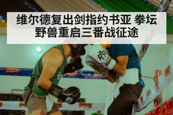 维尔德复出剑指约书亚 拳坛野兽重启三番战征途
