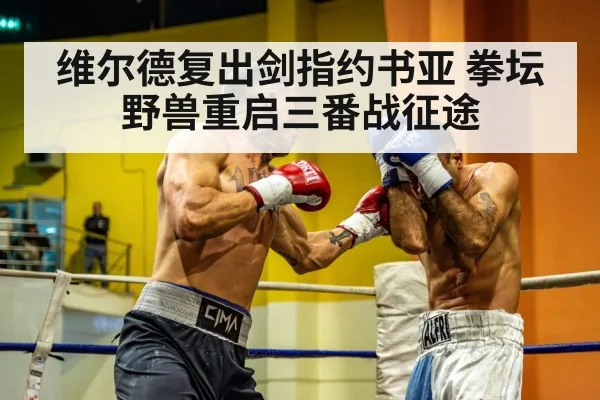 heavyweight boxing fight