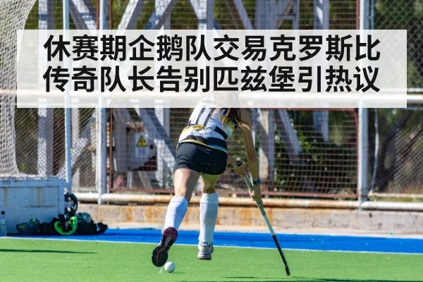 休赛期企鹅队交易克罗斯比 传奇队长告别匹兹堡引热议