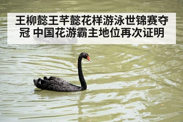 王柳懿王芊懿花样游泳世锦赛夺冠 中国花游霸主地位再次证明